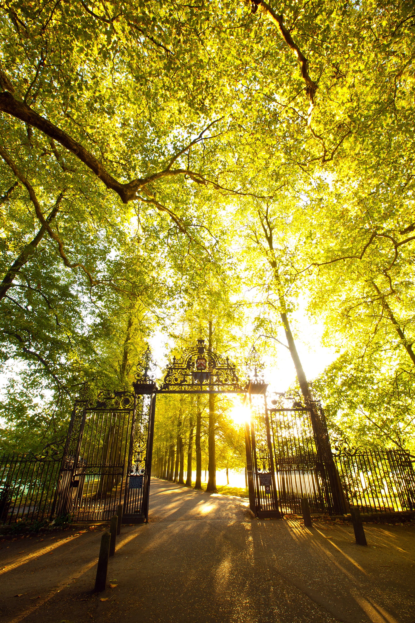 Greeting Cards, 'The Feel of Trinity', pack of 10