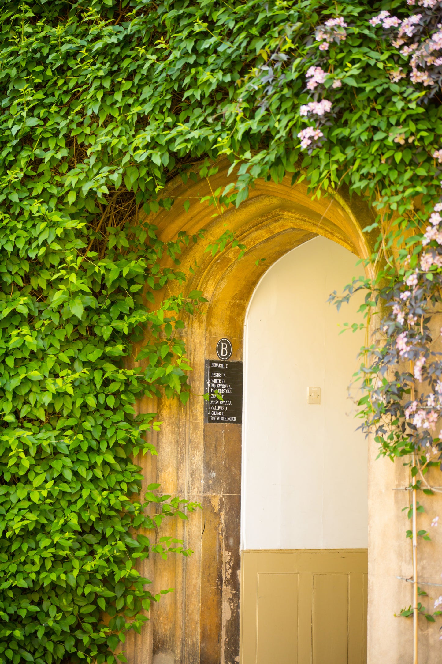 Greeting Cards, 'The Feel of Trinity', pack of 10