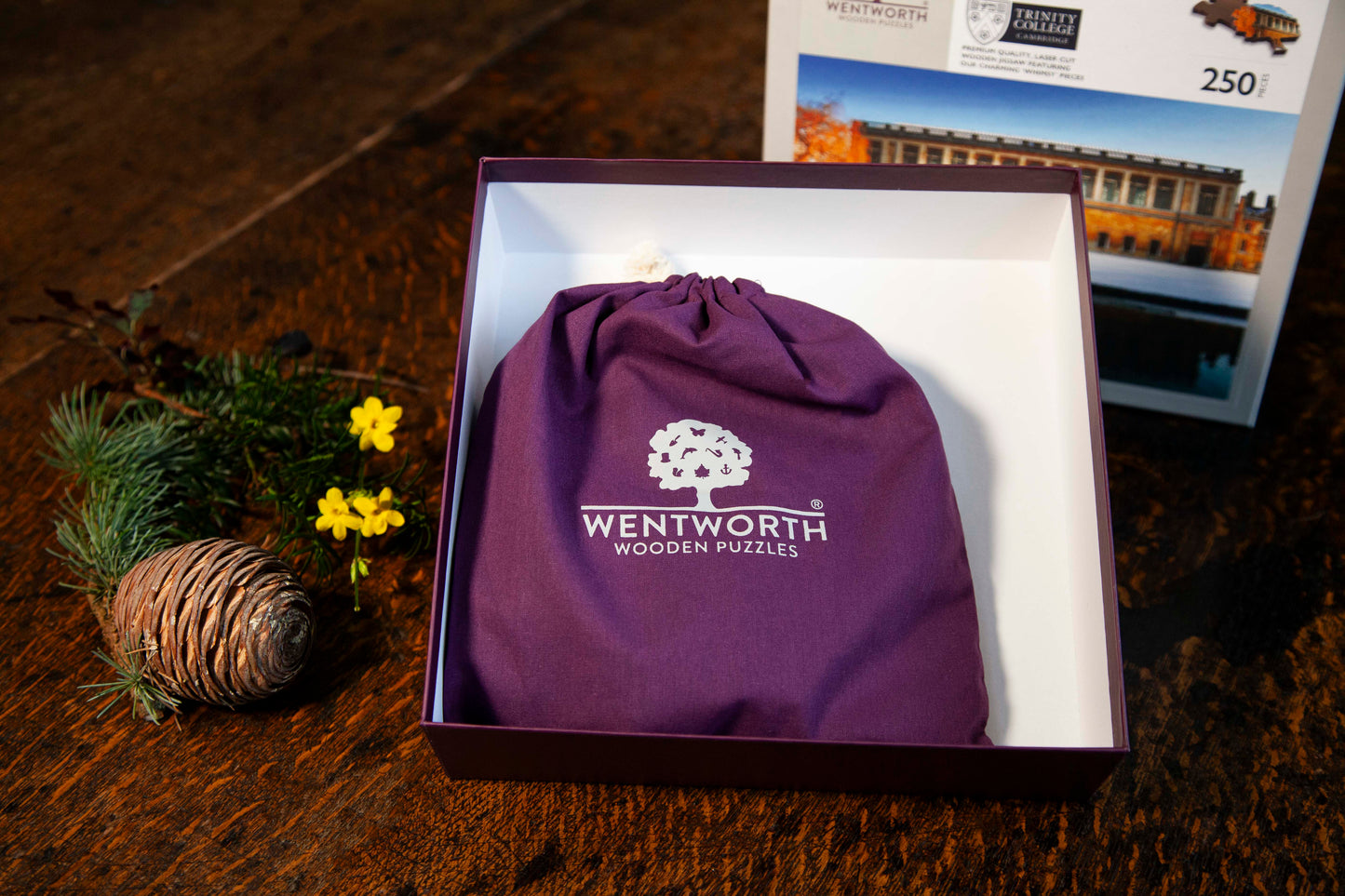 Wentworth Puzzle: Exterior of the Wren Library, 250 pcs