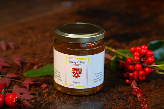 Trinity College Apiary Honey, Clear (450 g/1 lb)