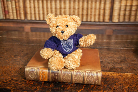 College Bear in Navy Guernsey